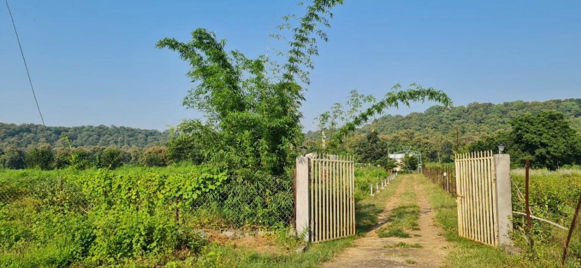 Resort Property